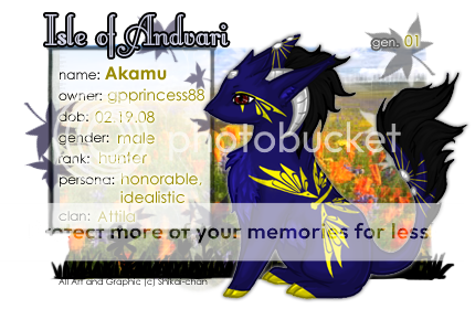 User Image